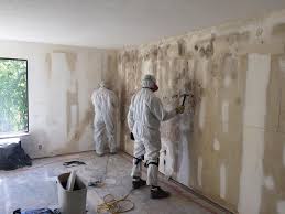 Best Mold Damage Restoration in Tolar, TX